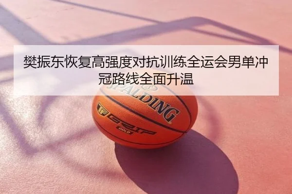 樊振东恢复高强度对抗训练全运会男单冲冠路线全面升温